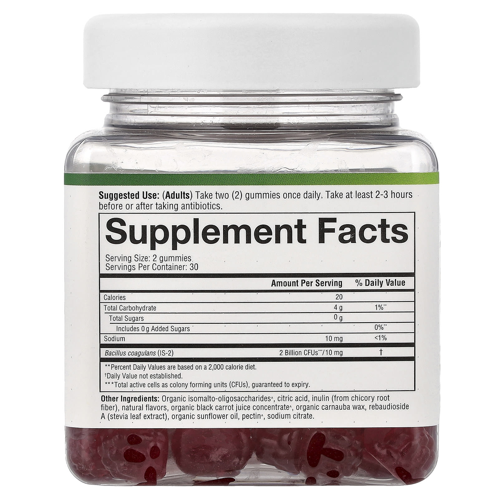Youtheory Spore Probiotic Gummies – Raspberry – 60 gommes — photo 2 sur 2