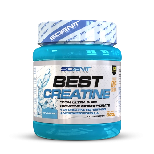 Best Creatine 500 g – Scenit Nutrition — Tunisie